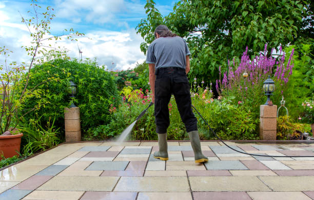 Animal Enclosure Cleaning in Chena Ridge, AK