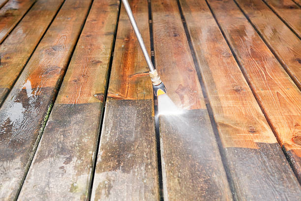 Best Sidewalk and Walkway Cleaning  in Chena Ridge, AK